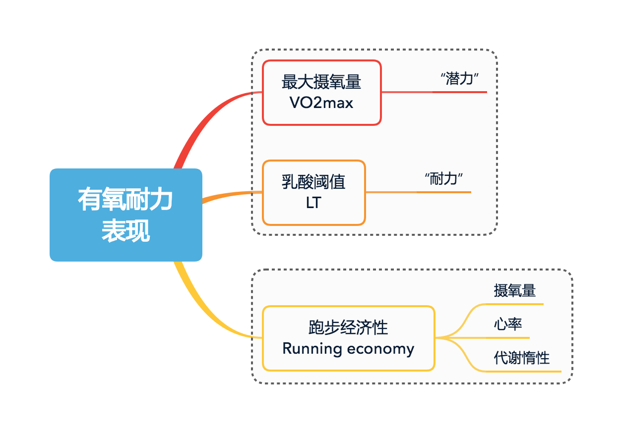 endurance-performance