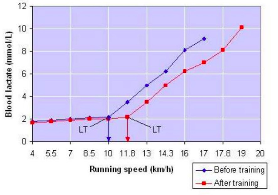 lactate-threshold