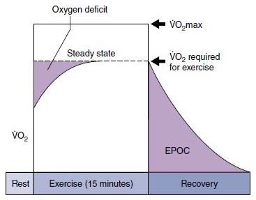 Oxygen uptake - low intensity