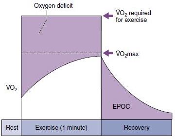 Oxygen uptake - high intensity